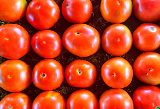 A close-up shot of ripe, deep crimson tomatoes arranged artfully on a parchment-covered table.