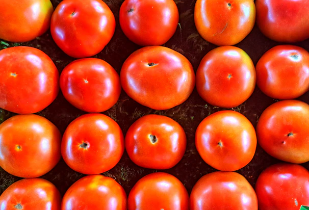 A close-up shot of ripe, deep crimson tomatoes arranged artfully on a parchment-covered table.
