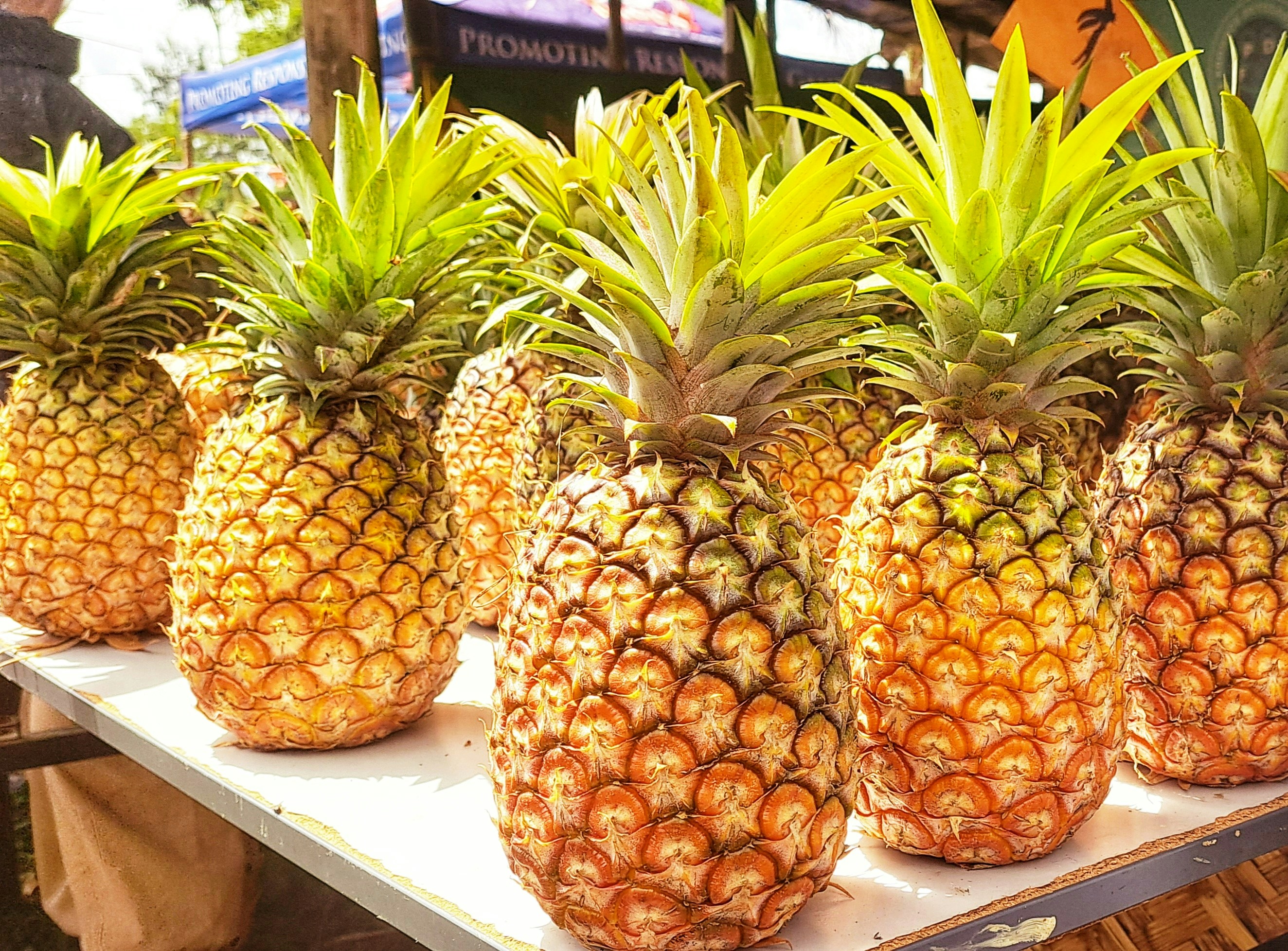 Fresh Pineapple