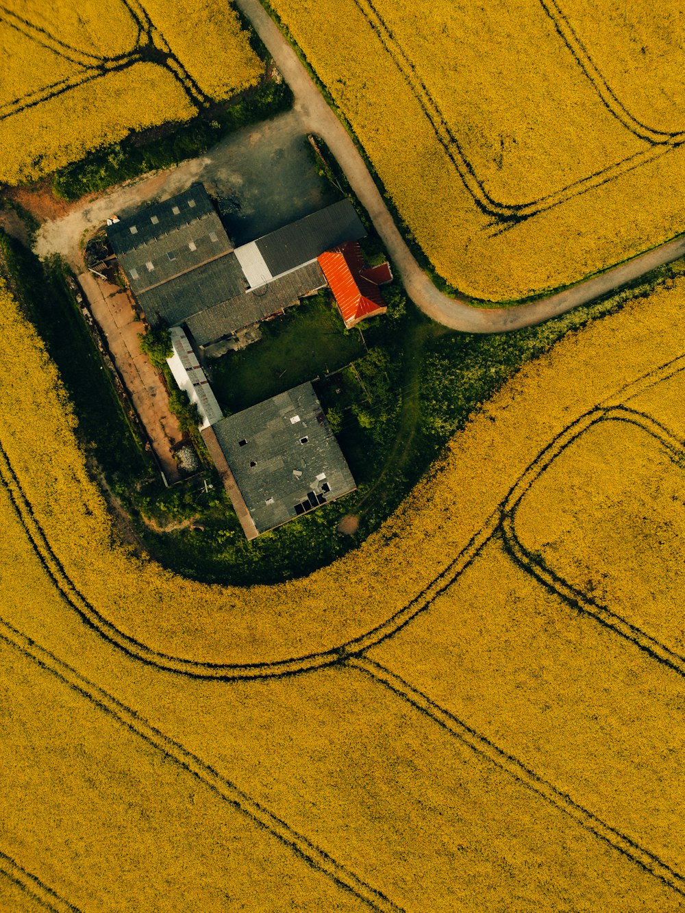 an aerial view of a farm and a road