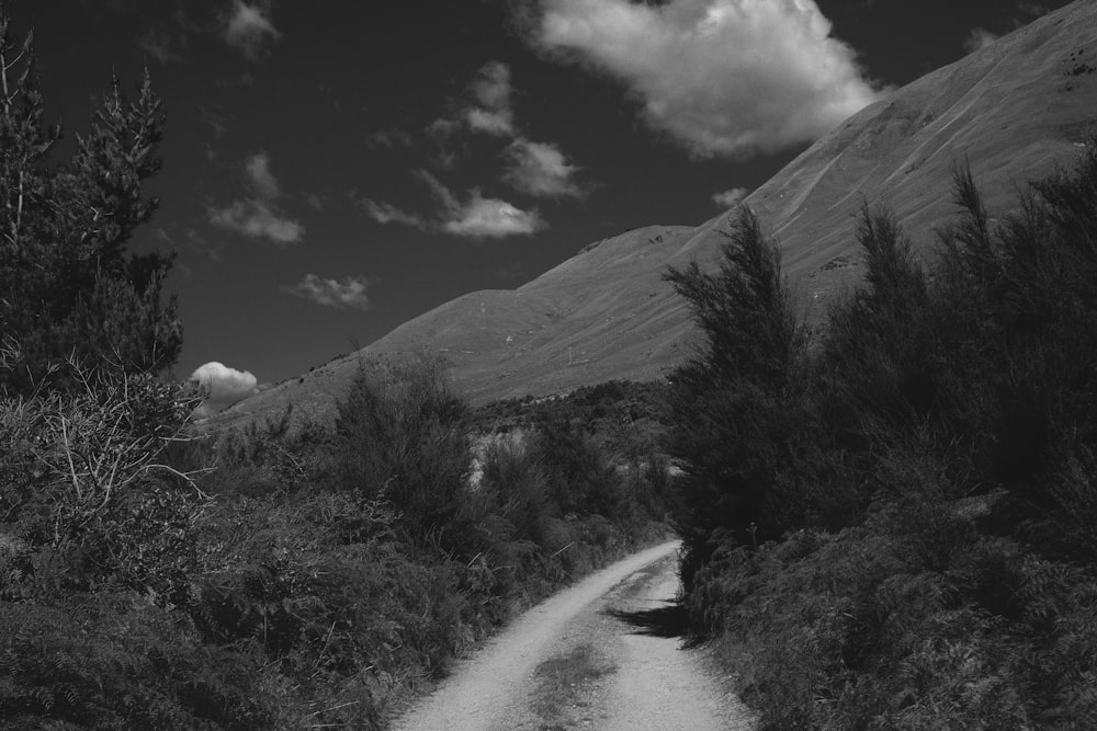 a black and white photo of a dirt road