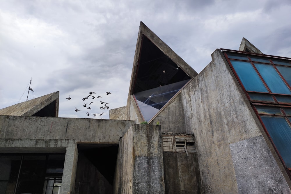 a flock of birds flying over a concrete building