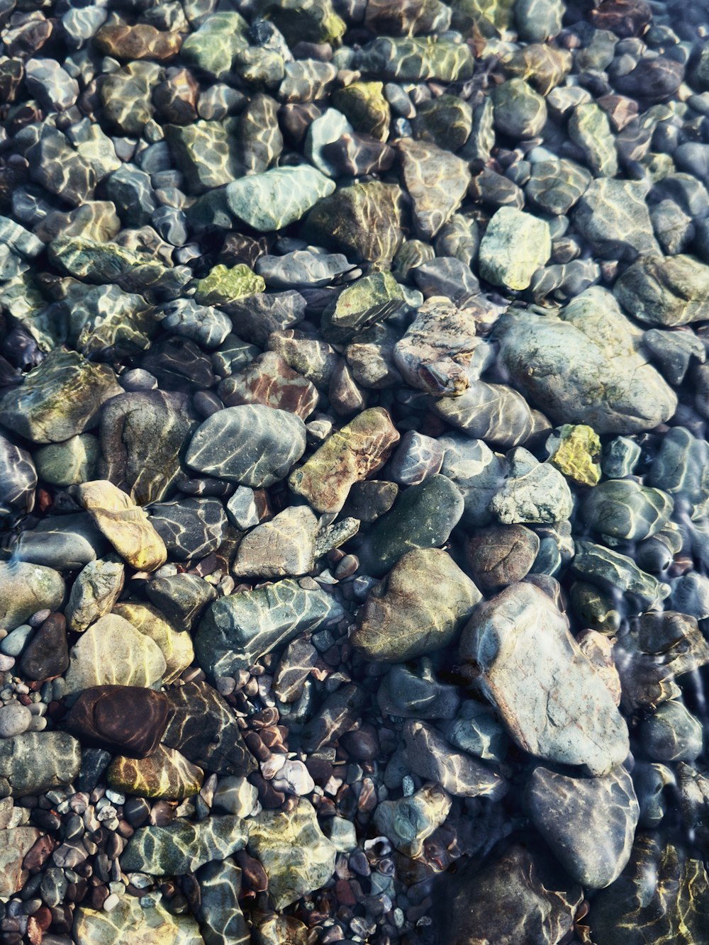 a bunch of rocks sitting on top of a beach