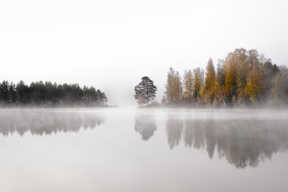 a foggy lake with trees in the background