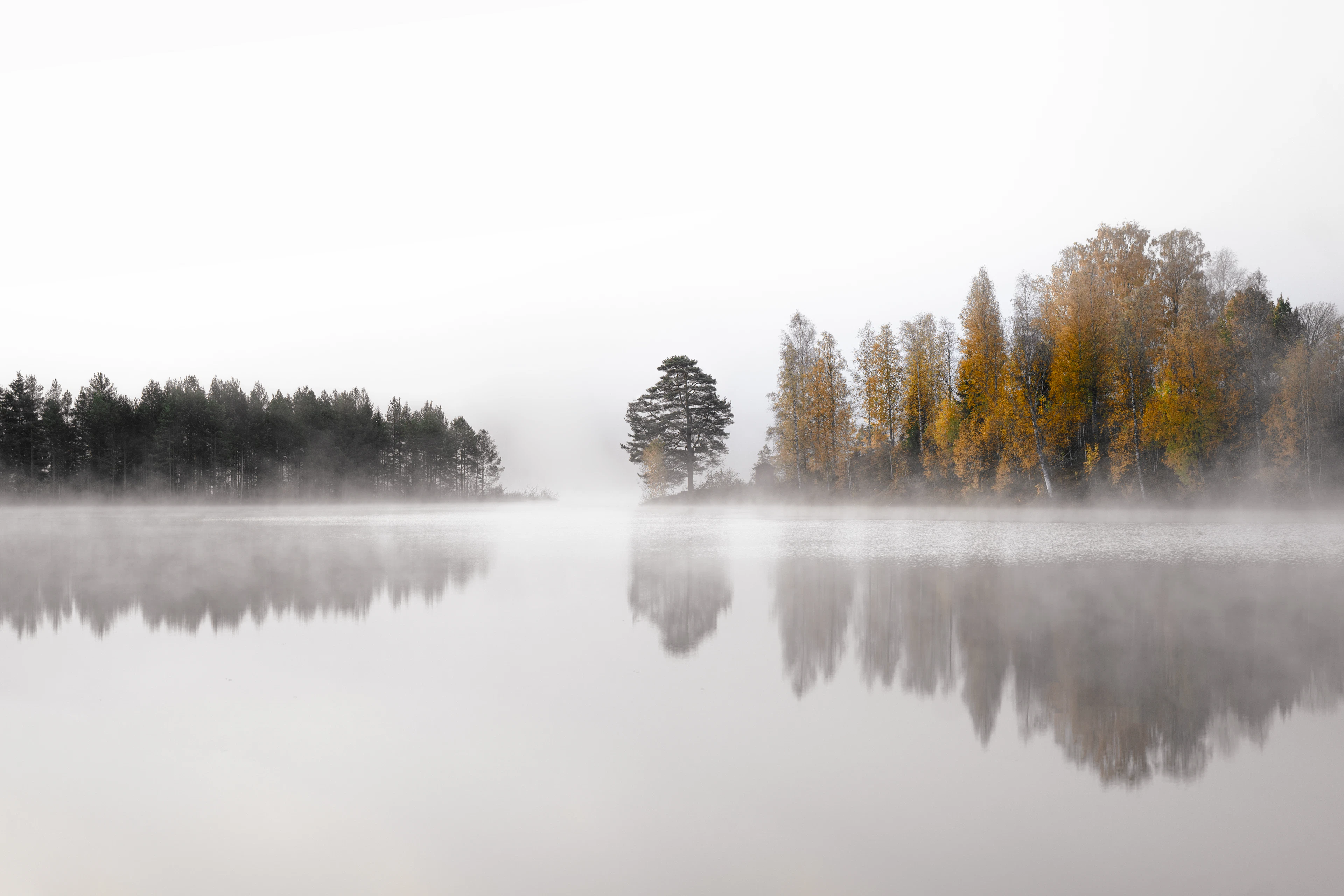 First light over a Swedish lake, late October