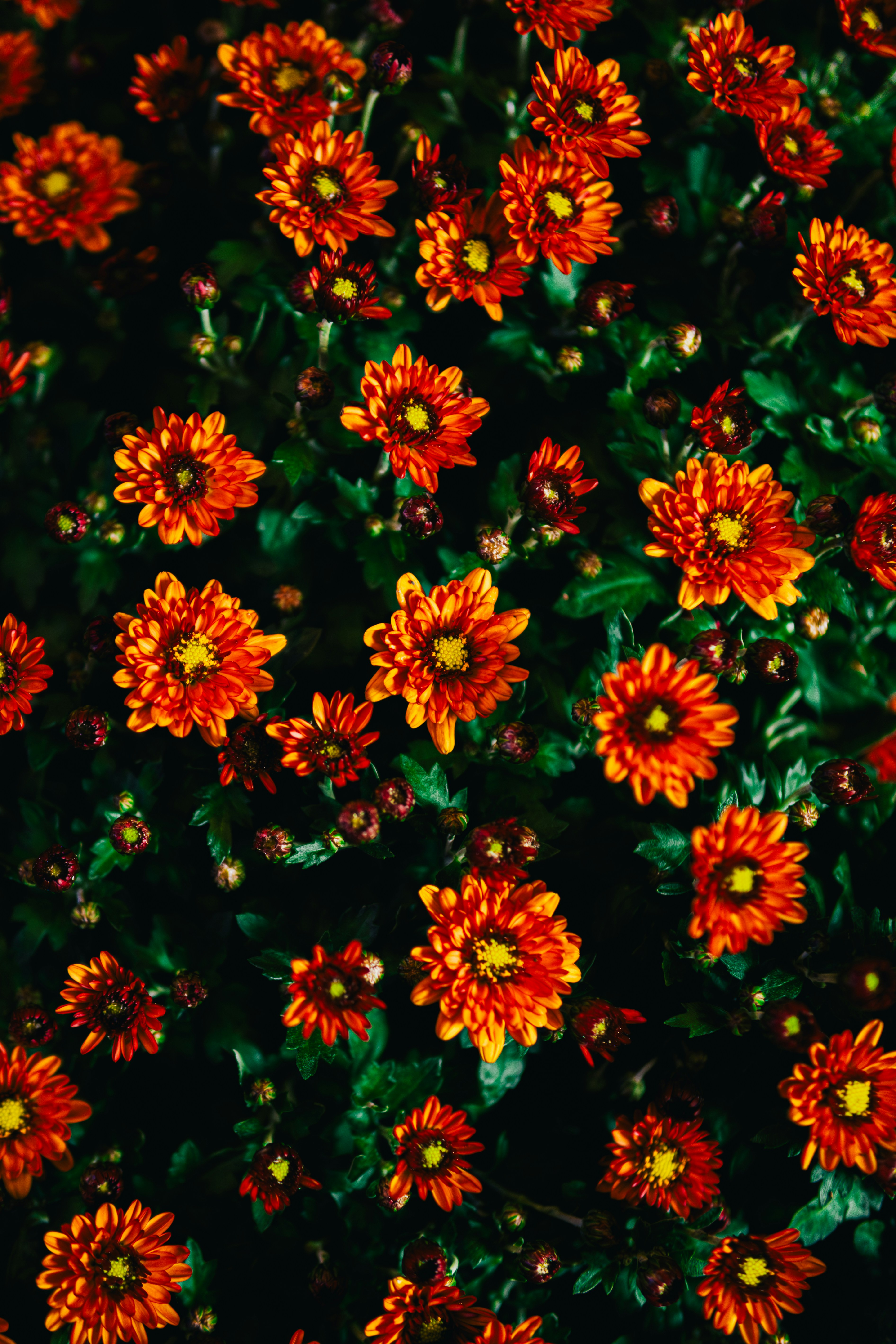 Photo by 17allansfilms