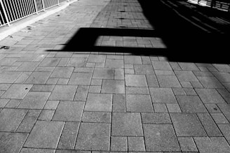 Close-up of a pressure-washed walkway with clear before-and-after contrast.