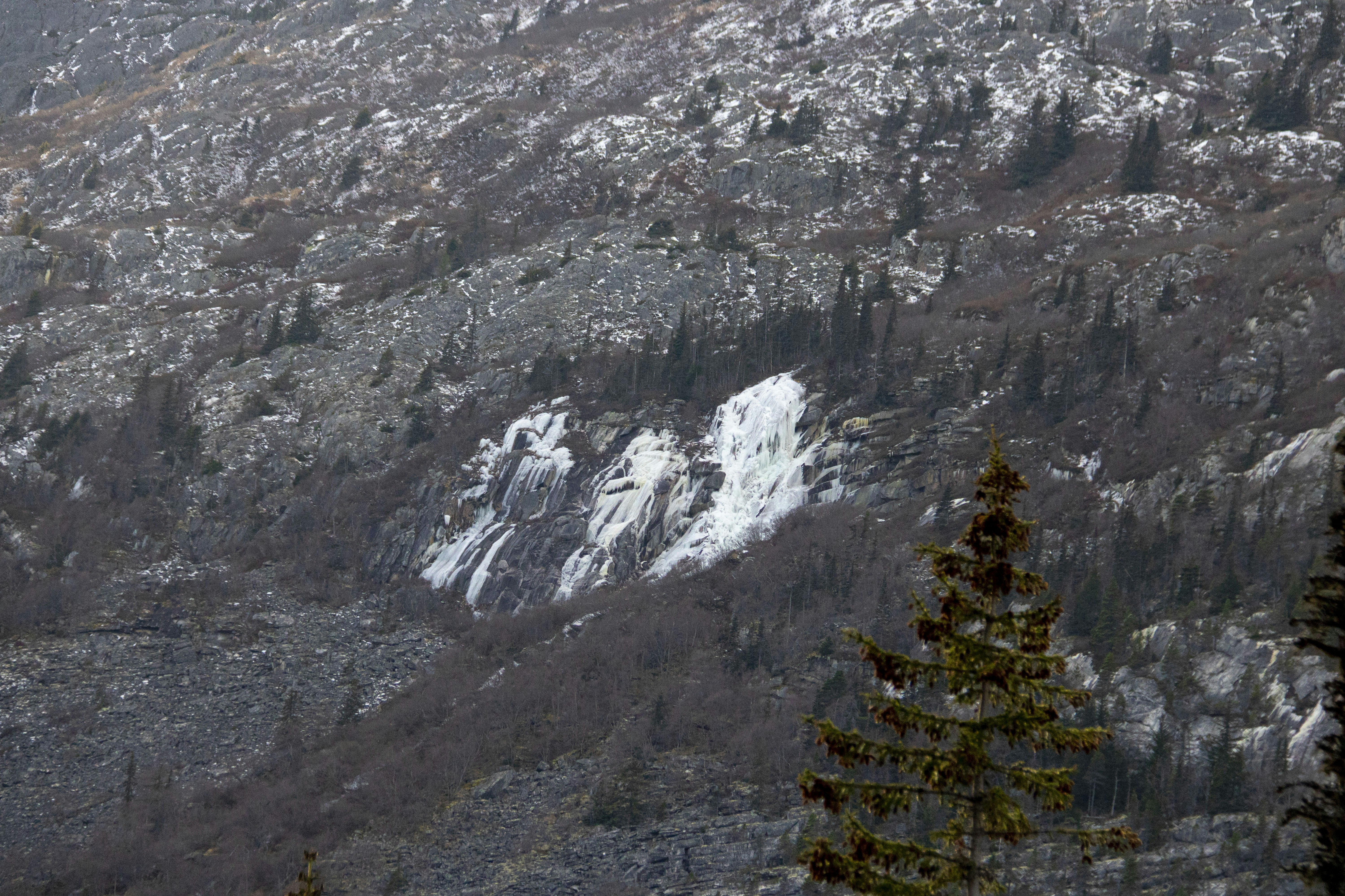 a snow covered mountain with a pine tree in the foreground, Landscape of inspiration point in skagway alaska inlcudes waterfalls