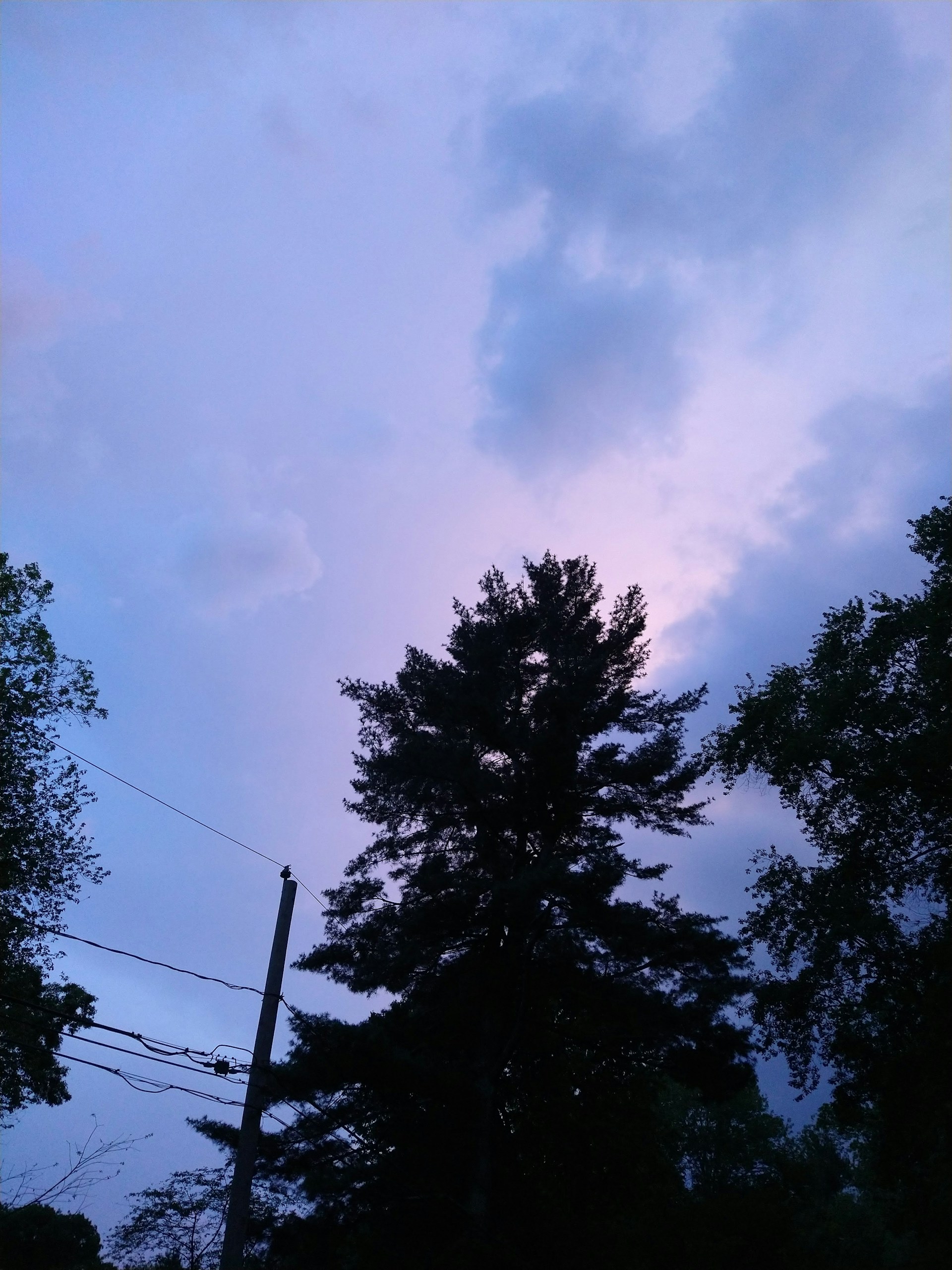 gray computer monitor