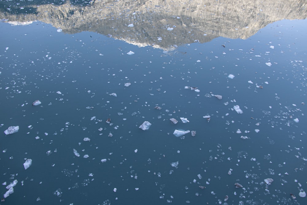 a body of water with ice flakes floating on top of it