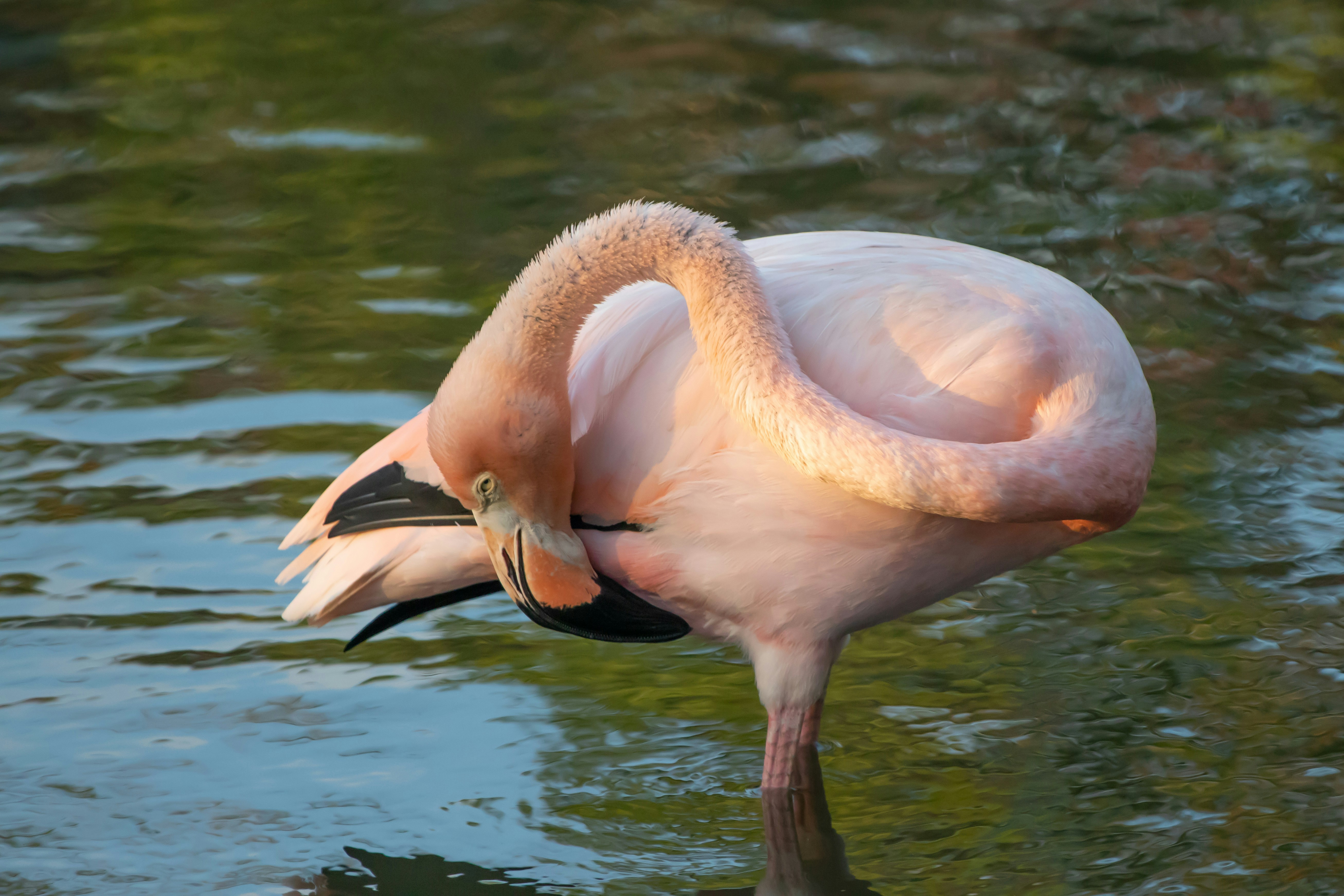 Photo by sonianadales