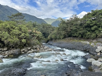 A serene river flowing through a lush green landscape, surrounded by trees and mountains in the background.
