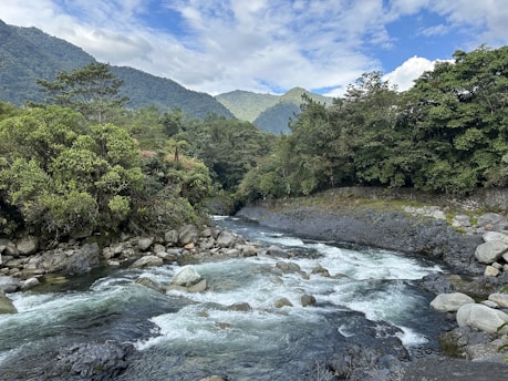 A serene river flowing through a lush green landscape, surrounded by trees and mountains in the background.