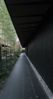 Contemporary garden pathway lined with minimalist lighting and deep green foliage.