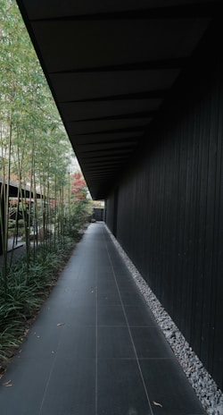 A minimalist garden path lined with sculpted shrubs and natural stone accents