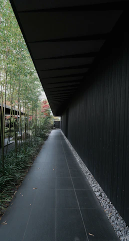 Contemporary garden pathway lined with minimalist lighting and deep green foliage.