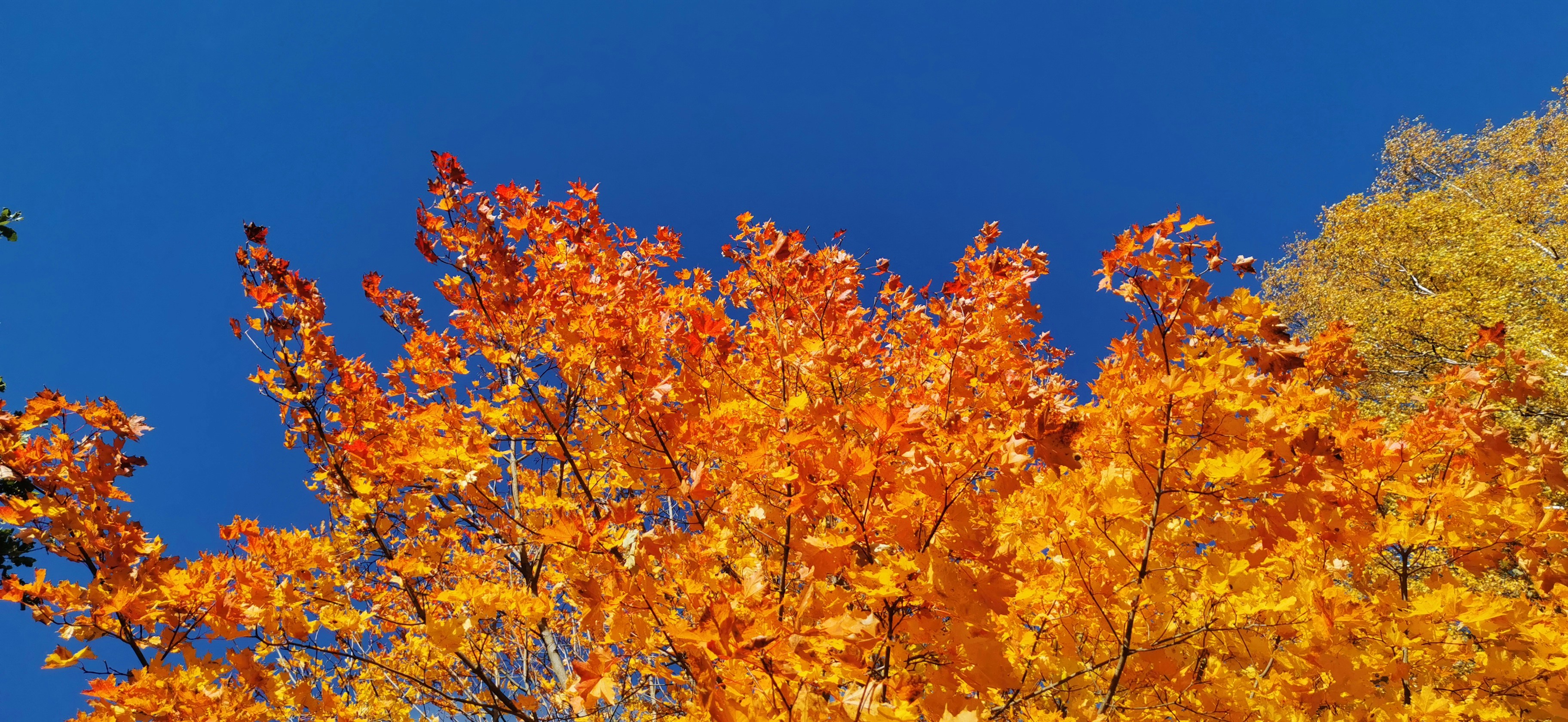 Photo by is_giovanni