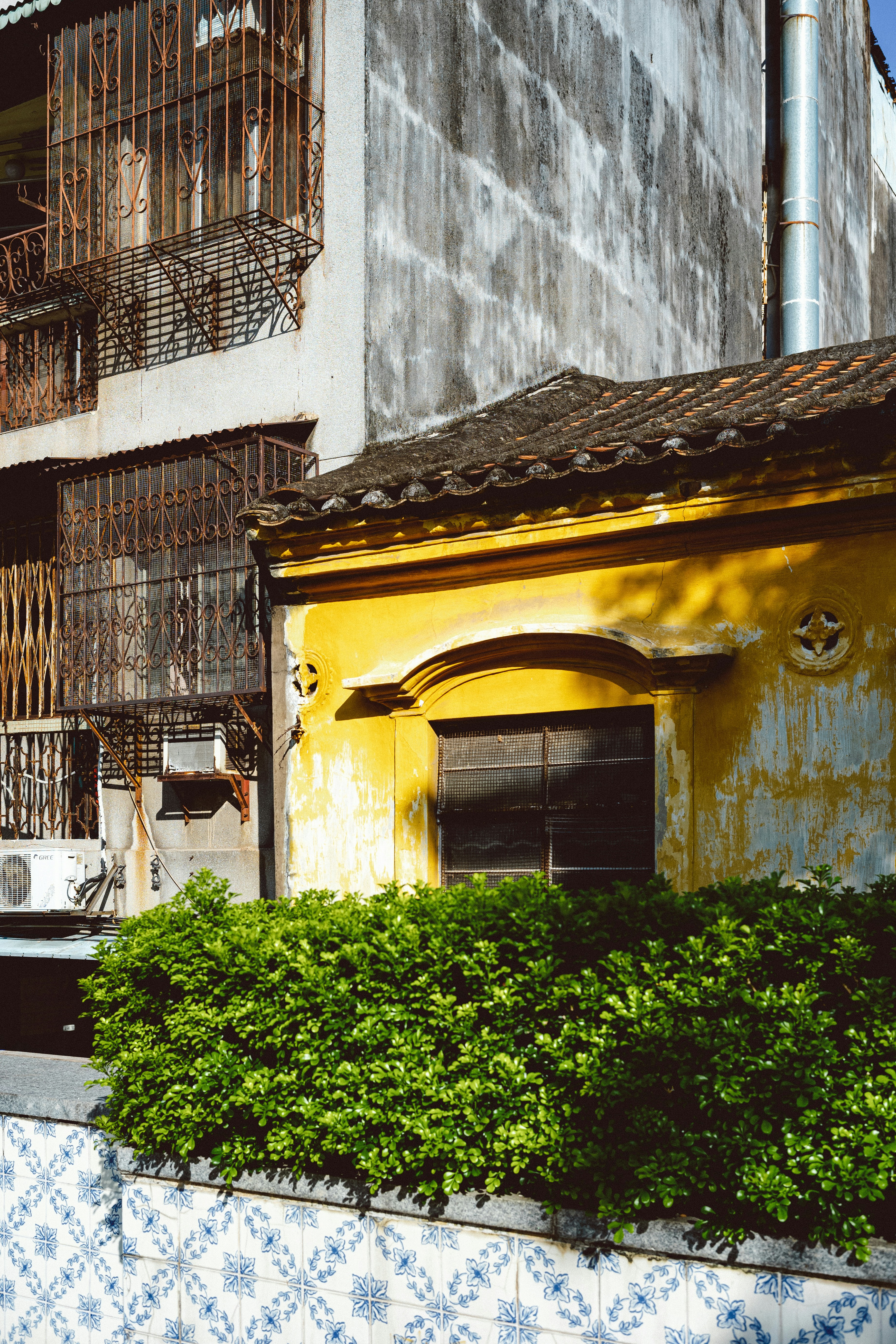 Photo by tommaomaoer