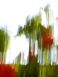 Abstract image featuring vertical streaks of green and red, with a blurred effect suggesting motion. The background is predominantly white, creating a contrast with the colorful streaks.