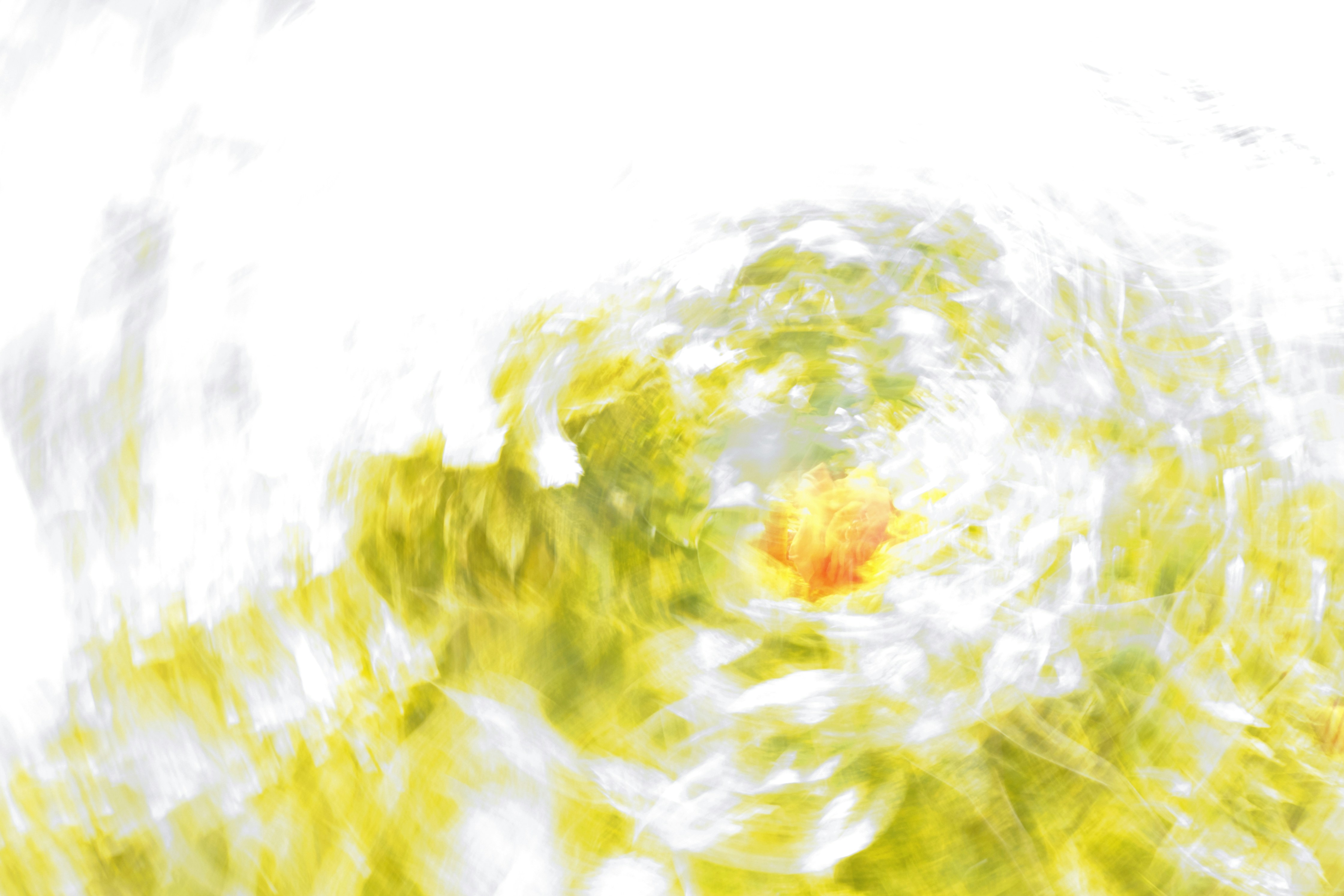 Photo by chrislinnett