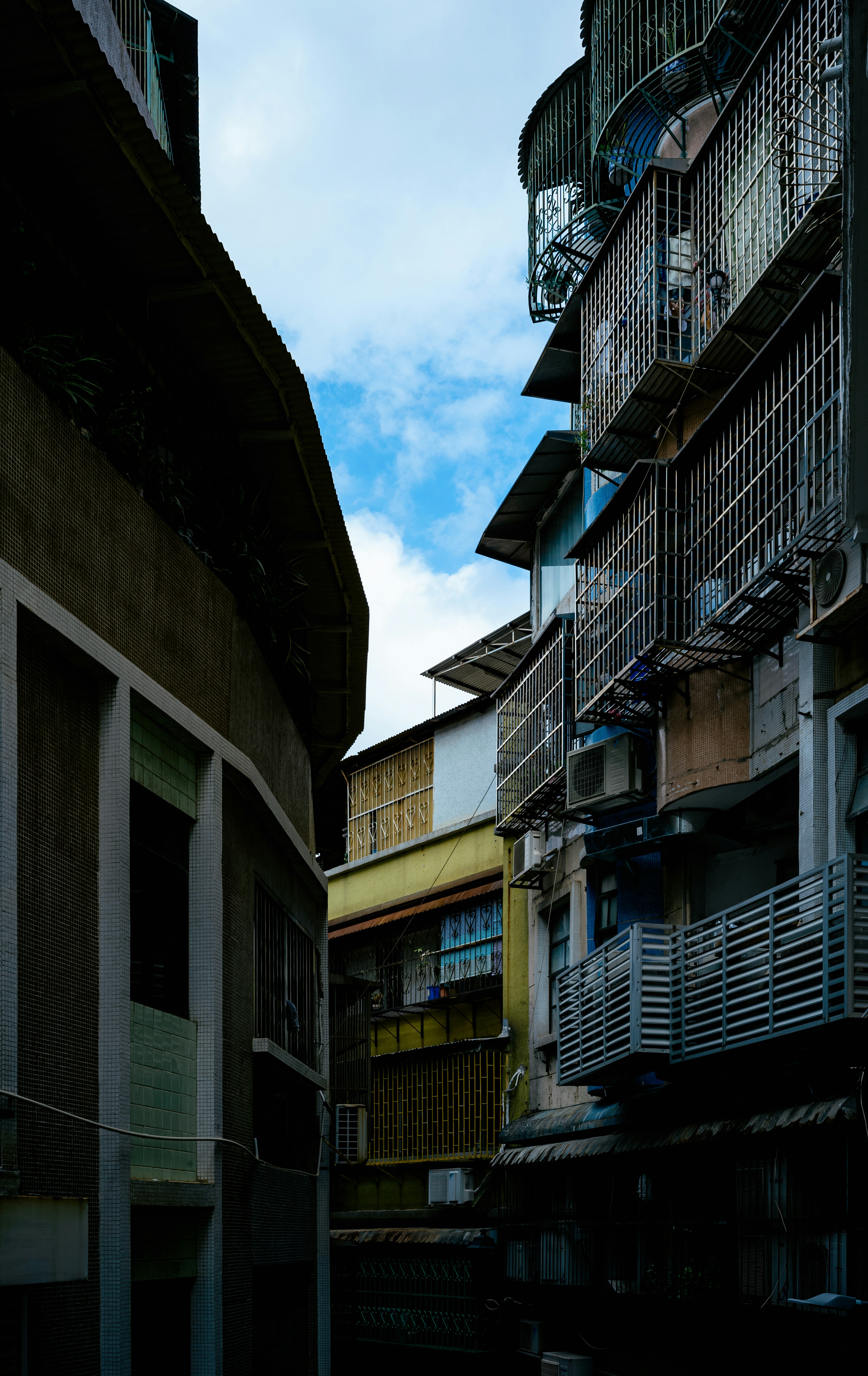 Photo by tommaomaoer