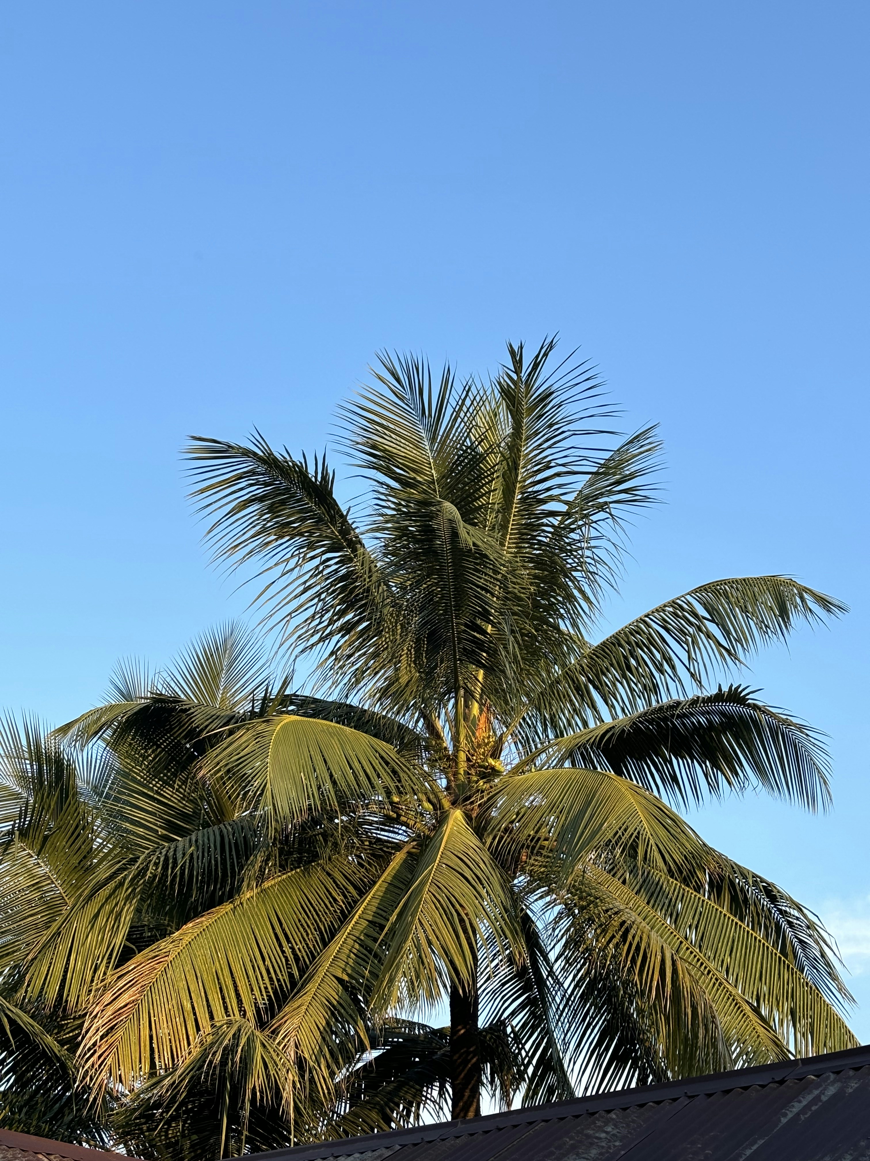 Photo by tobiburrahman