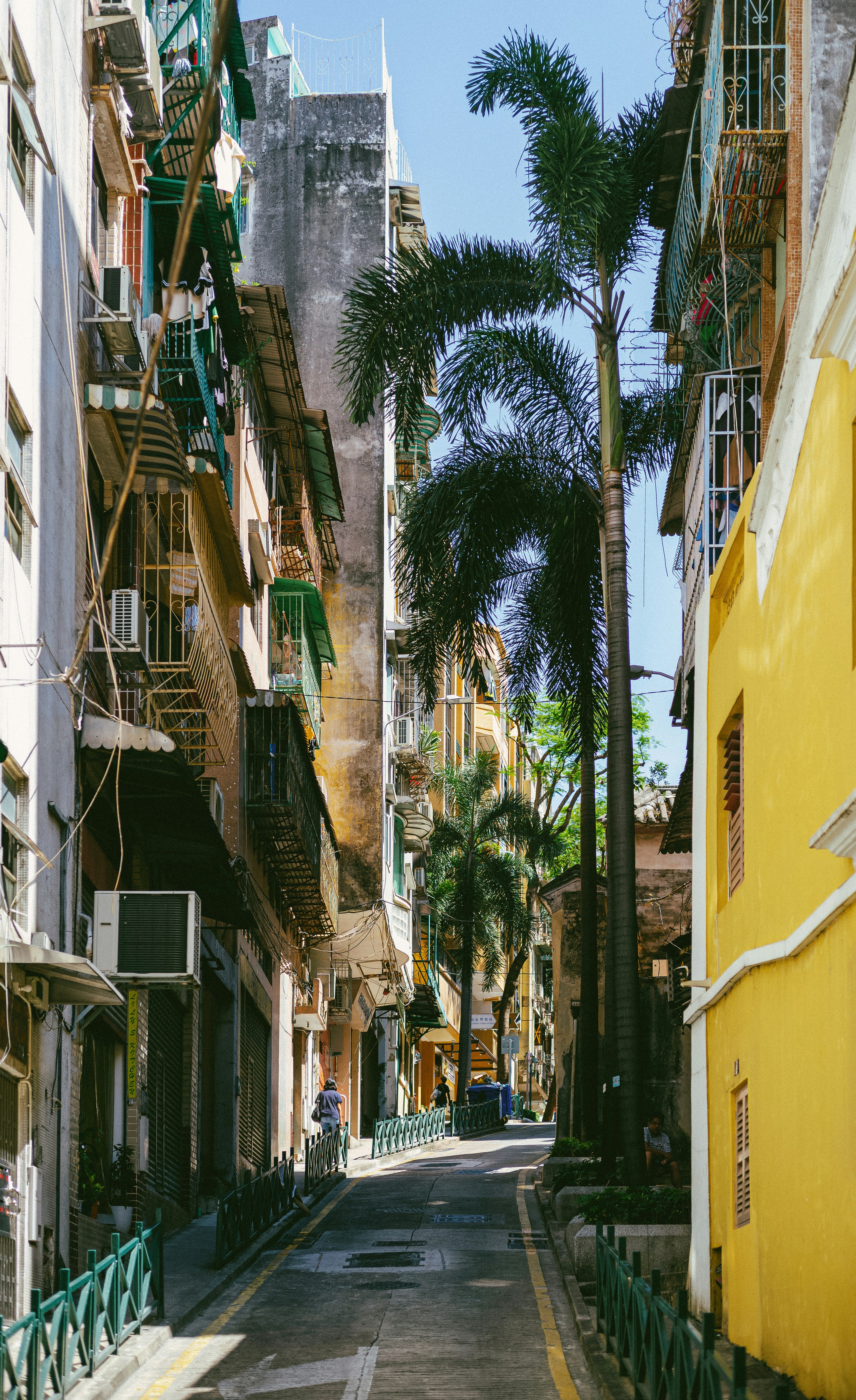 Photo by tommaomaoer