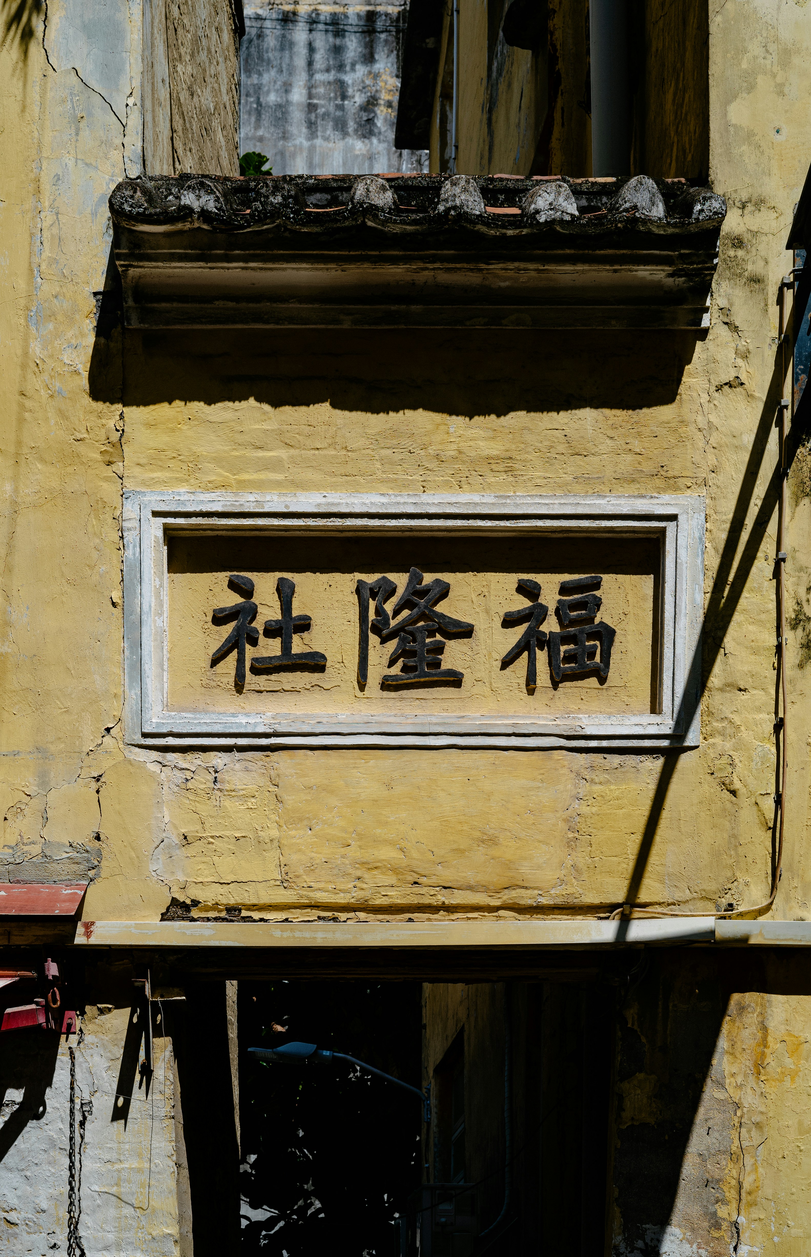 Photo by tommaomaoer