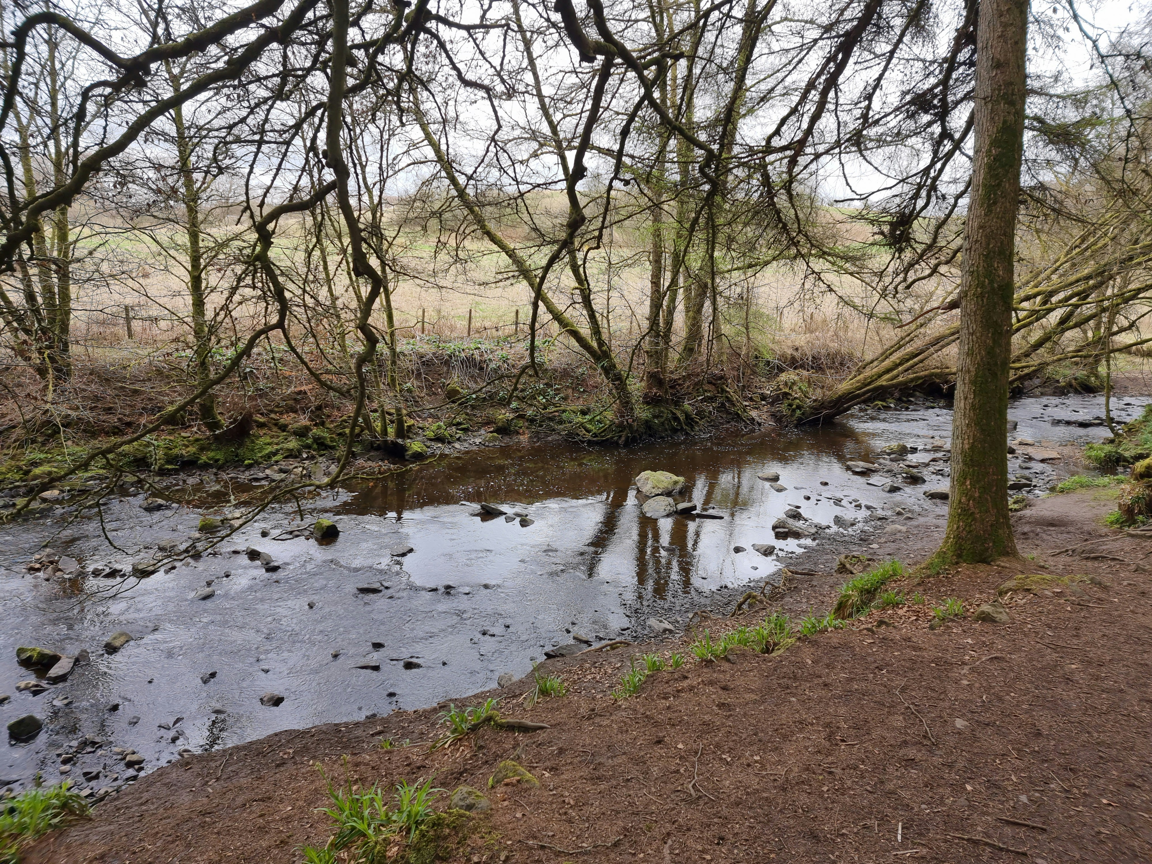 Photo by markdiapteron