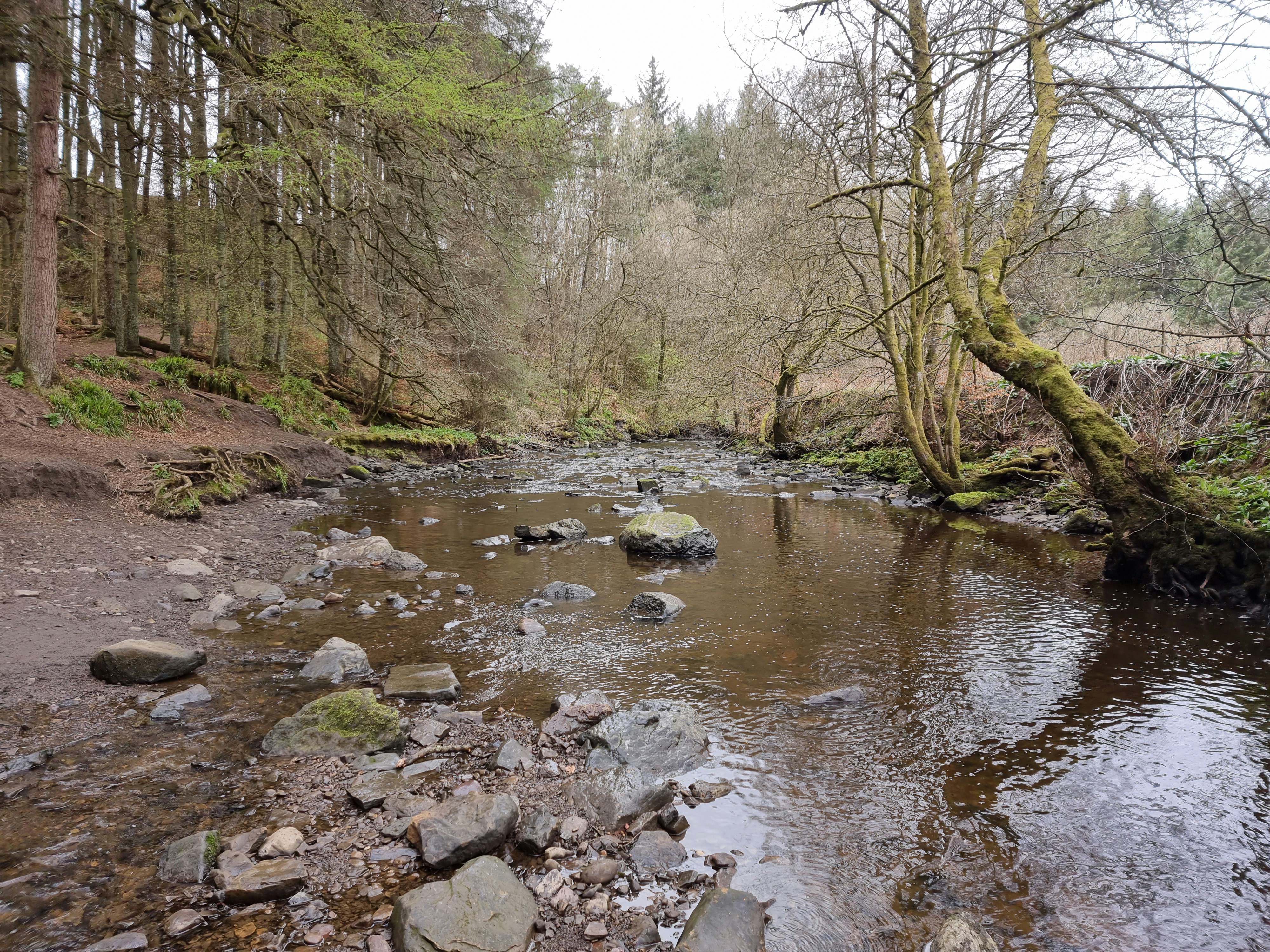 Photo by markdiapteron