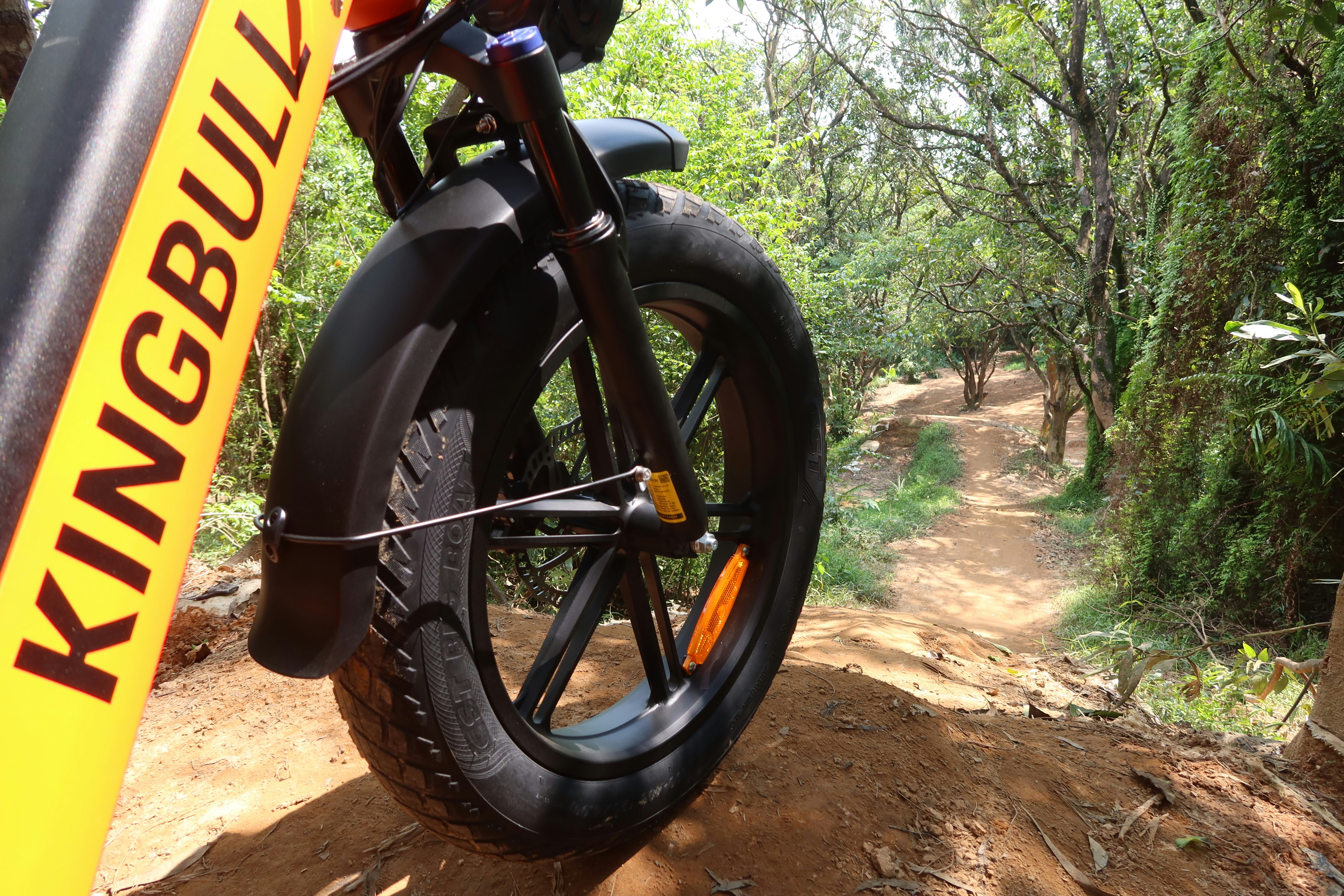 fat tire e-bike