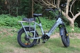A sleek electric bike with a sturdy frame and large wheels is parked on grassy terrain. The bike has a cushioned seat and a rear carrier. It is set against a backdrop of lush green foliage and trees.