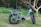 A sleek electric bike with a sturdy frame and large wheels is parked on grassy terrain. The bike has a cushioned seat and a rear carrier. It is set against a backdrop of lush green foliage and trees.