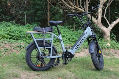 A sleek electric bike with a sturdy frame and large wheels is parked on grassy terrain. The bike has a cushioned seat and a rear carrier. It is set against a backdrop of lush green foliage and trees.