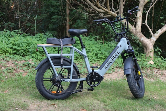 A sleek electric bike with a sturdy frame and large wheels is parked on grassy terrain. The bike has a cushioned seat and a rear carrier. It is set against a backdrop of lush green foliage and trees.