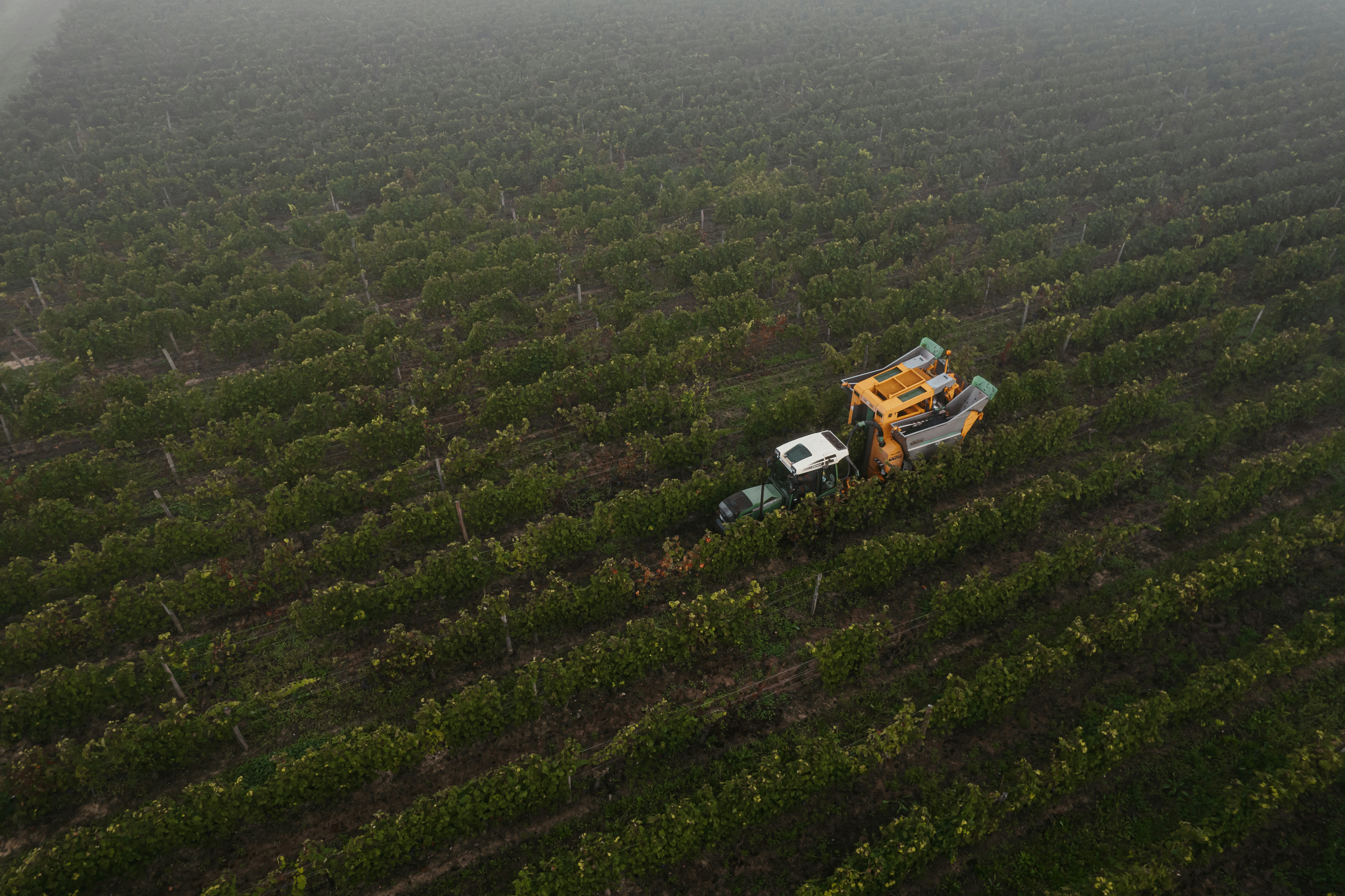 Robots agricoles autonomes utilisant l'IA pour récolter des légumes en 2026