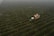 Aerial view of a vineyard with rows of green vines stretching across the field. A harvesting machine and a vehicle are moving through the rows, likely collecting grapes. The landscape is covered in a light fog, creating a serene and calm atmosphere.