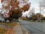 A quiet Idaho town street lined with white wooden houses and autumn trees.