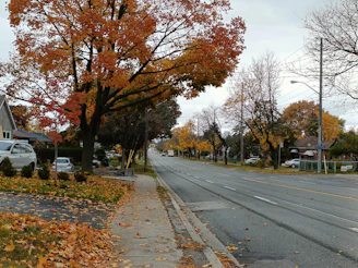 A peaceful suburban street with cozy homes and colorful autumn trees.