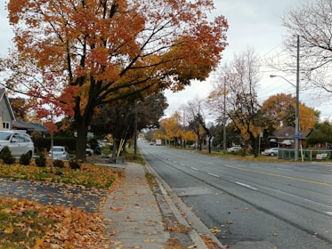 A cozy Long Island neighborhood street with charming houses and autumn trees.