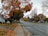 A scenic view of a calm Peterborough neighborhood street lined with trees in autumn.