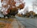 A scenic view of a calm Peterborough neighborhood street lined with trees in autumn.