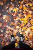 A pair of black checkered shoes standing on a pavement covered with a variety of colorful autumn leaves in shades of red, orange, yellow, and brown.