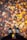 A pair of black checkered shoes standing on a pavement covered with a variety of colorful autumn leaves in shades of red, orange, yellow, and brown.