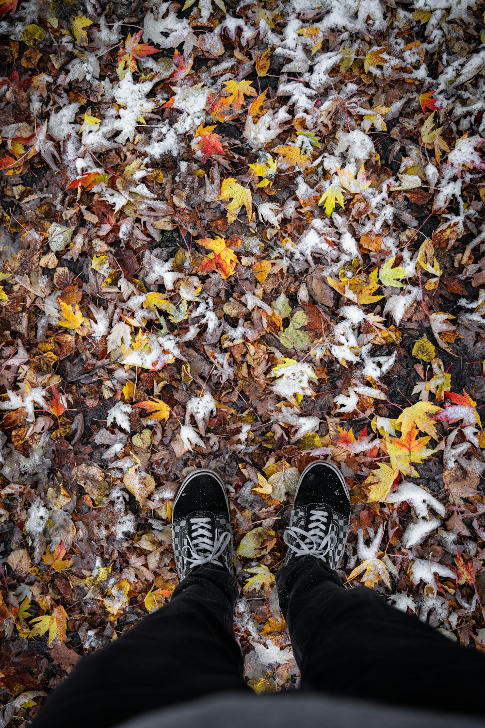 a person standing in front of a pile of leaves