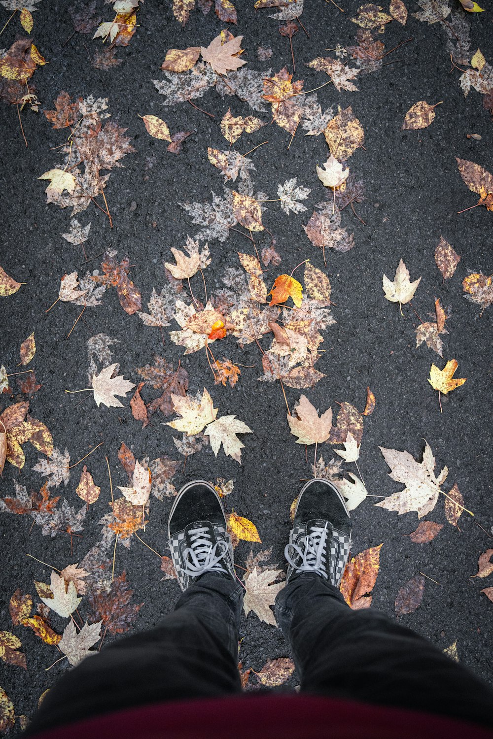 a person standing in front of a carpet of leaves