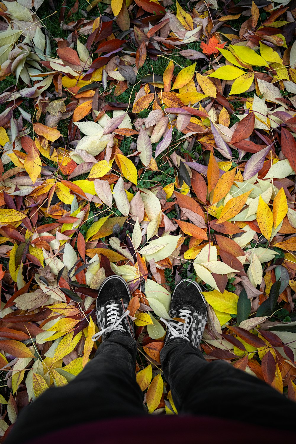 a person standing in front of a pile of leaves