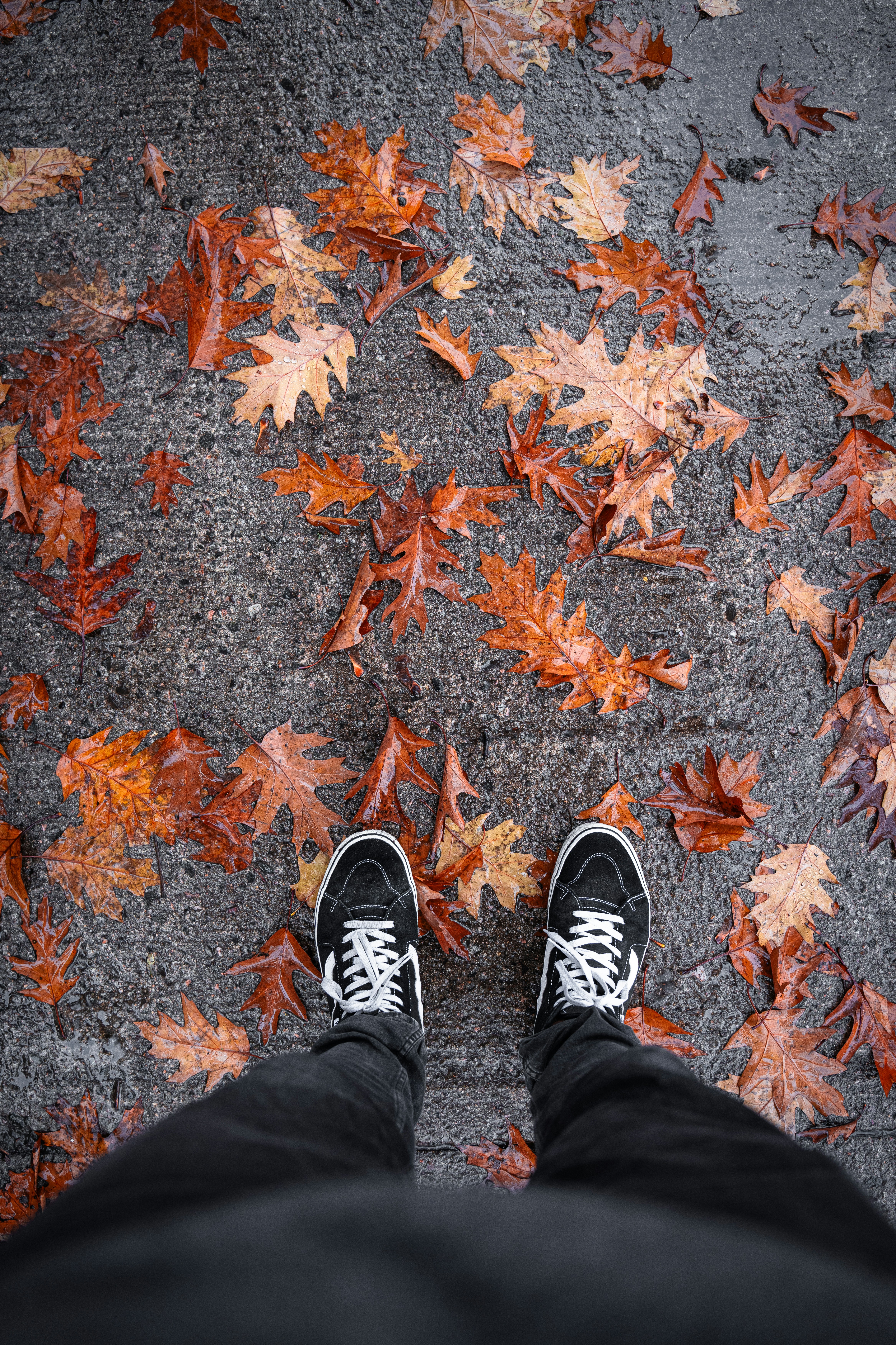 Photo by clementproust