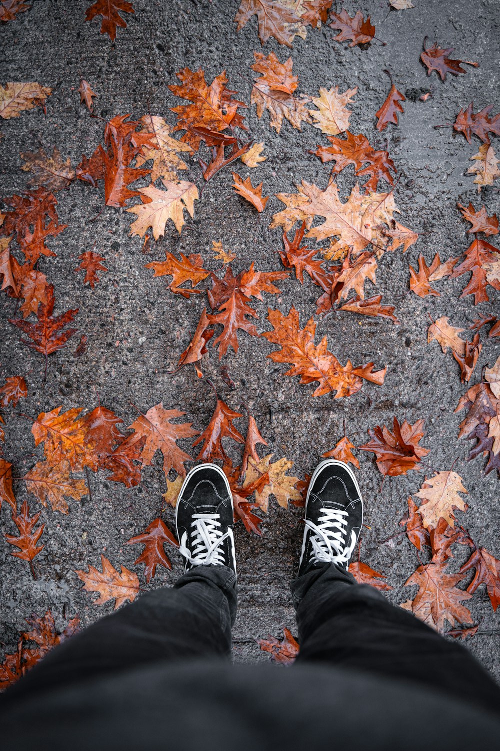 a person standing on a sidewalk surrounded by leaves