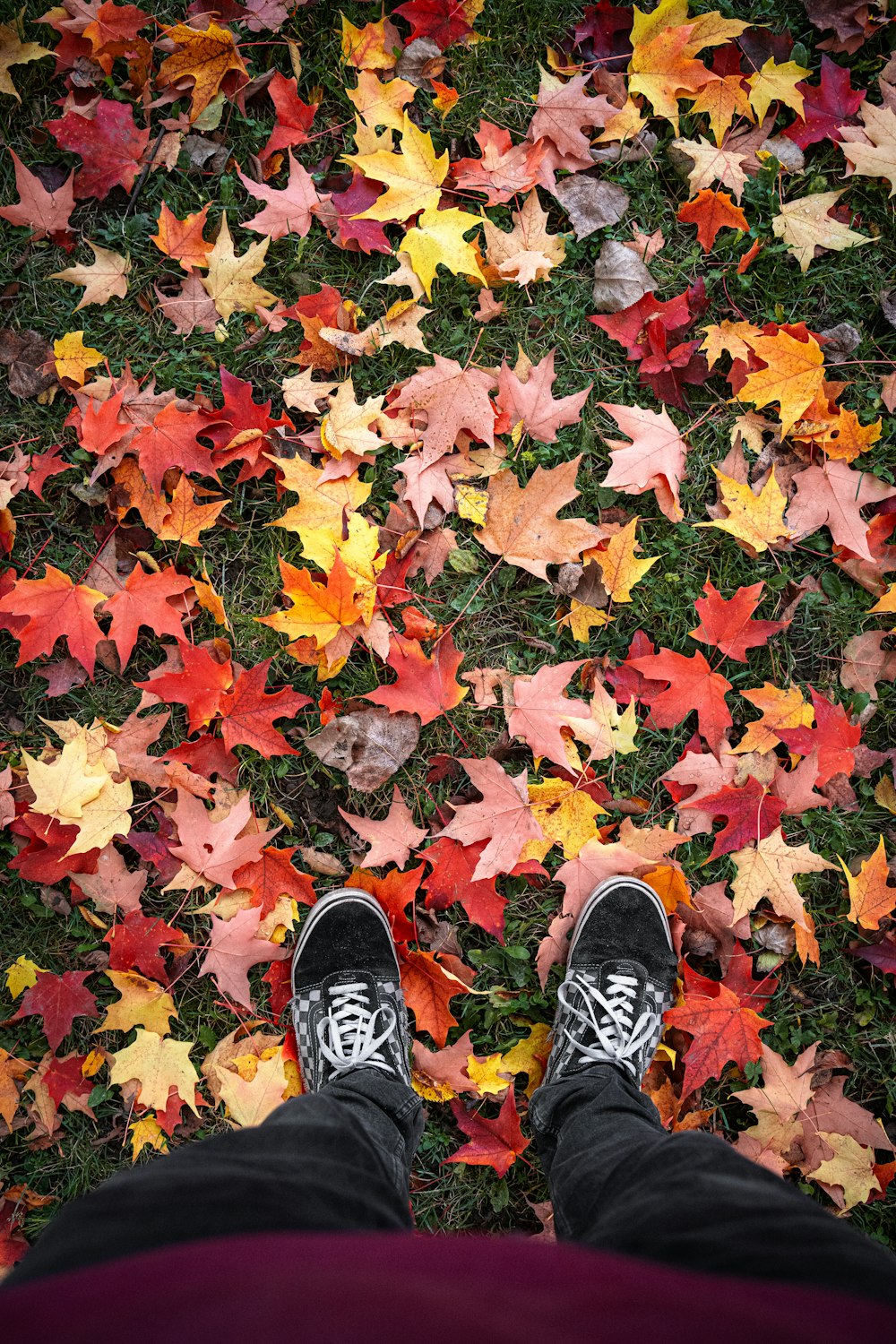 a person standing in front of a pile of leaves